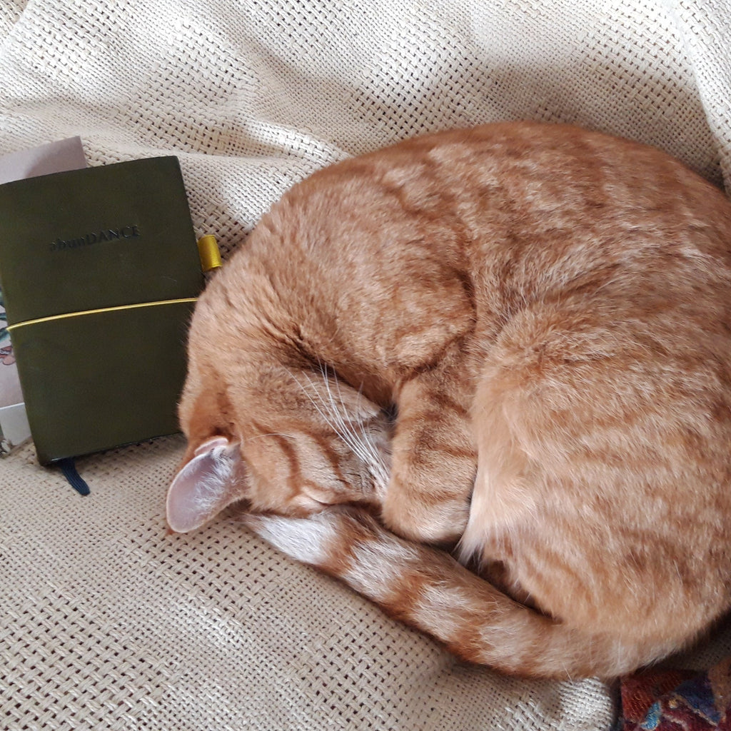 For the love of pets and paper