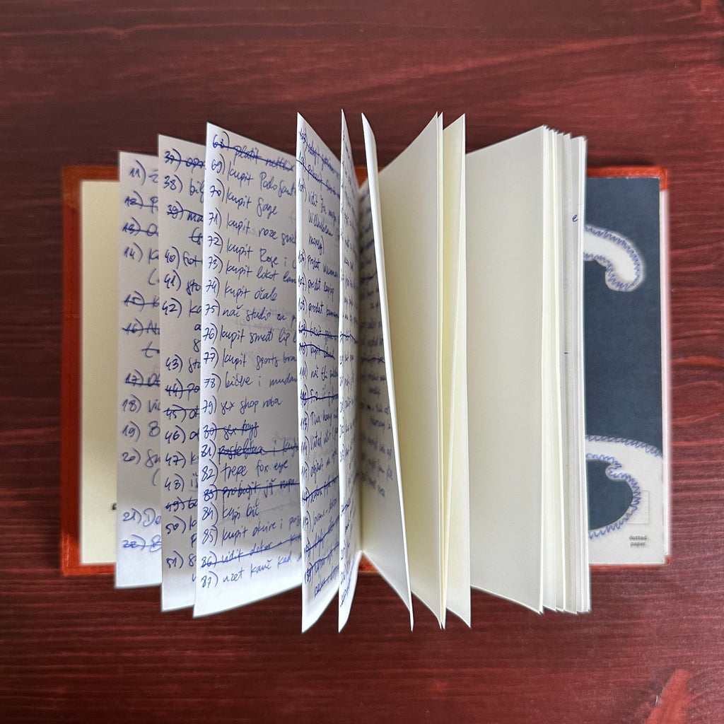 The Croatian TikToker: Mia Nemčić [inside my journal]