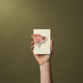 [pocket] / reef / plain | [pocket] / récif / blanches | [pocket] / Ozean / blanko | [pocket] / Barriera corallina / pagine bianche