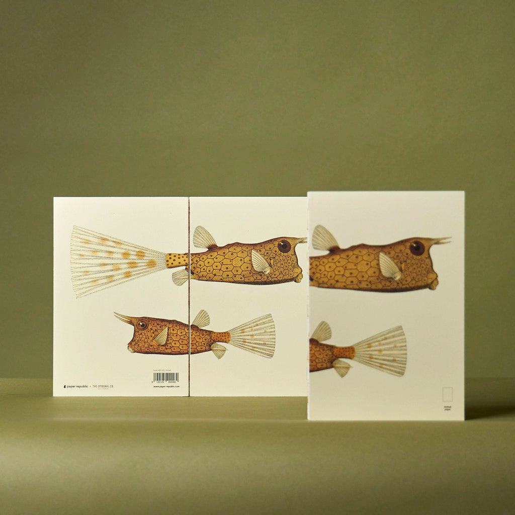Paper Republic X The Dybdahl Co paper-republic-x-the-dybdahl-co
