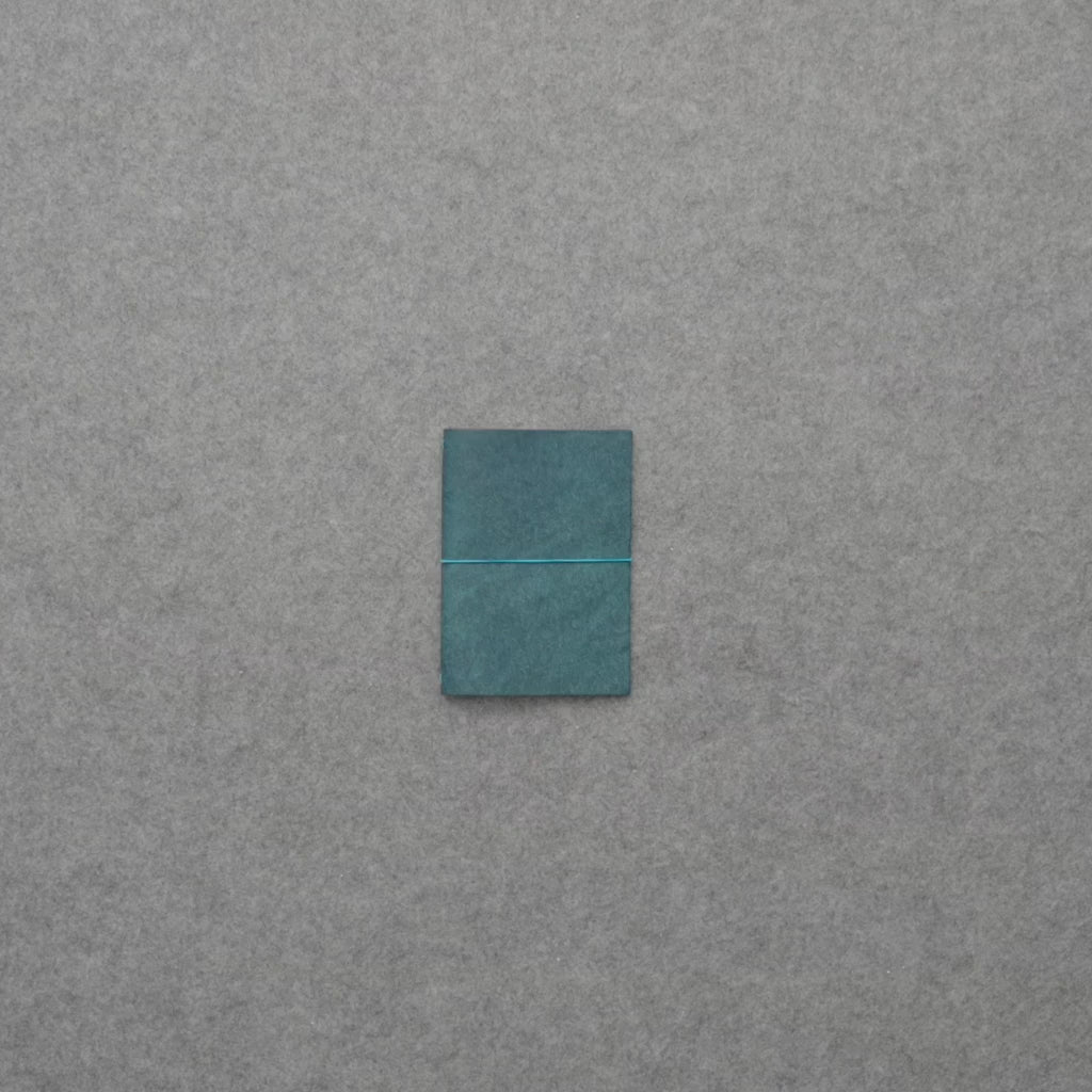 grand voyageur [pocket]